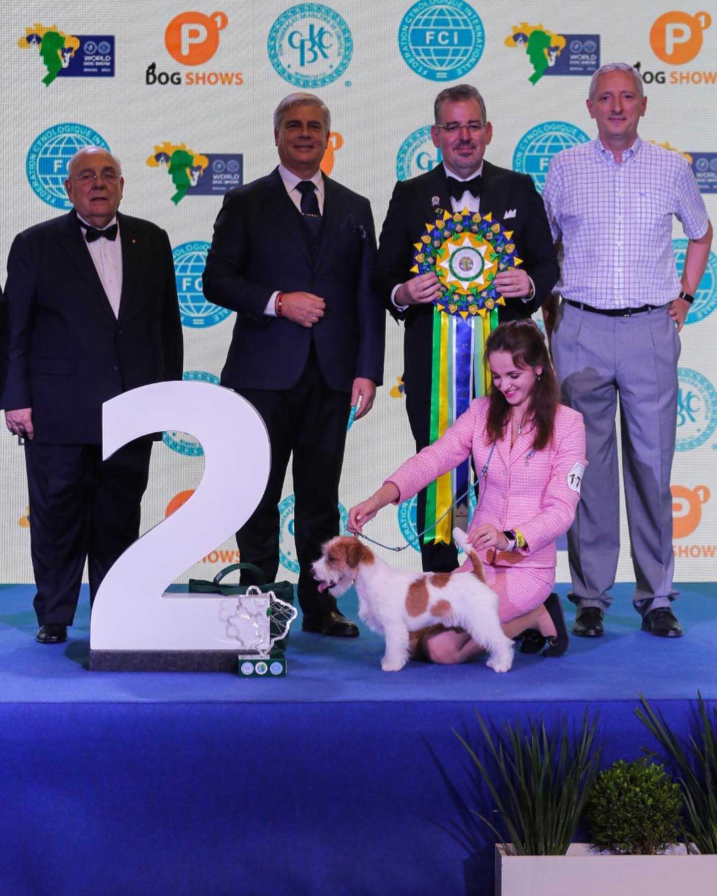 Segundo lugar do World Dog Show 2022. Foto: Reprodução/Instagram (@wds2022) - 20.12.2022