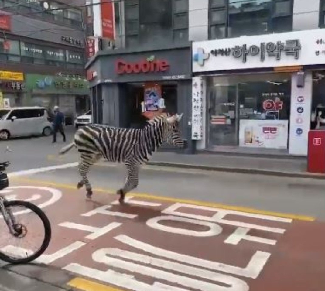 Durante as três horas  ela oscilou entre andar mais calmamente ou, de repente  sair correndo em velocidade . Nessas horas a preocupação era ainda maior.
