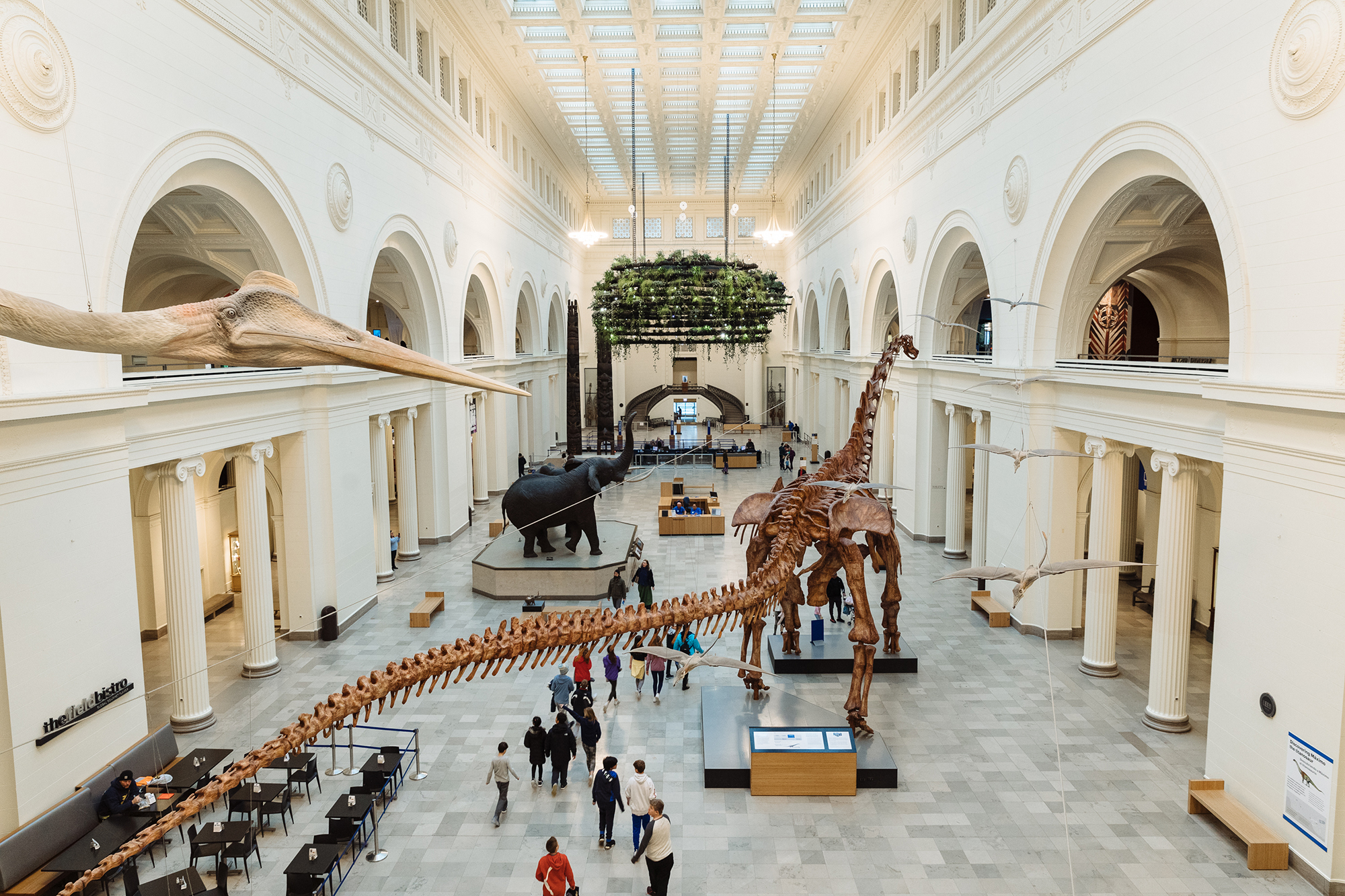O Field Museum é o museu de história natural de Chicago, nos Estados Unidos.. Foto: Divulgação