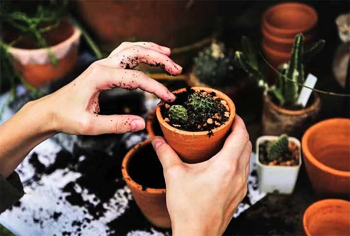 Para evitar aranhas em casa siga algumas instruções: usar aspirador de pó atrás de móveis e quadros Reprodução: Flipar