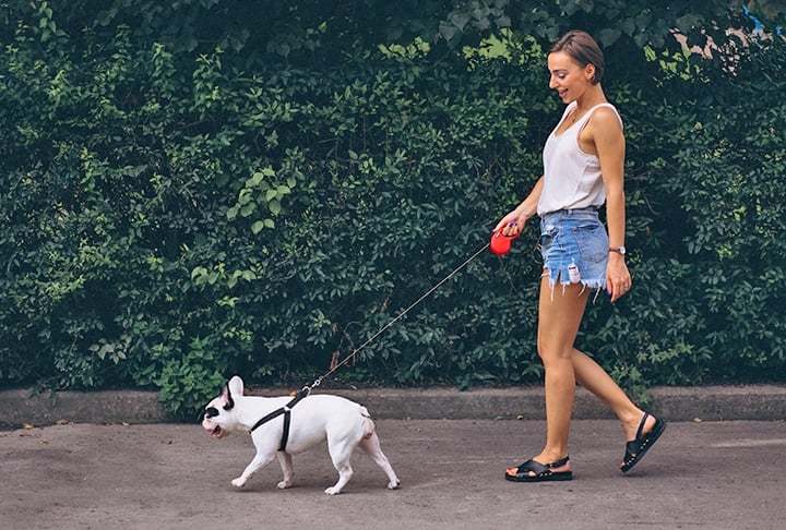 Tranquilidade: com as coleiras, os pais têm a tranquilidade de saber que seu filho está por perto o tempo todo.Mesma sensação que eles têm quando levam os pets para passear.  Reprodução: Flipar