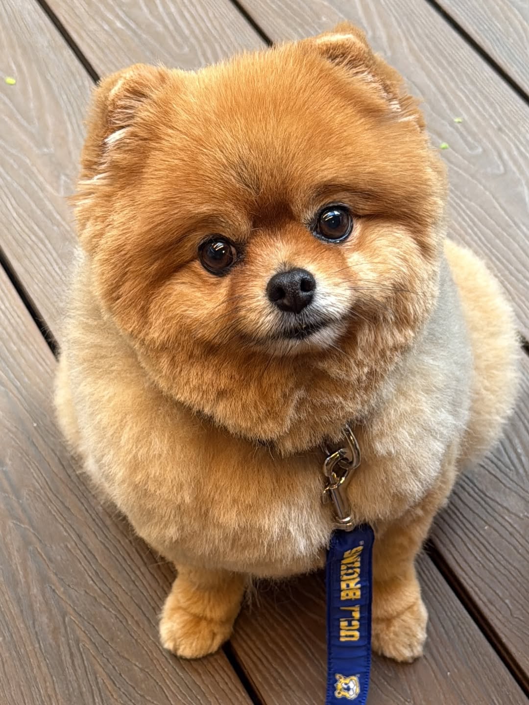 Daniella Cicarelli exibe corpo definido em fotos de viagem à Indonésia. Foto: Instagram