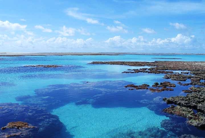 Engana-se quem acha que o Brasil não possui atóis. Único atol do Atlântico Sul e situado a cerca de 260 quilômetros da costa do Rio Grande do Norte, o Rocas é um refúgio biológico. Reprodução: Flipar