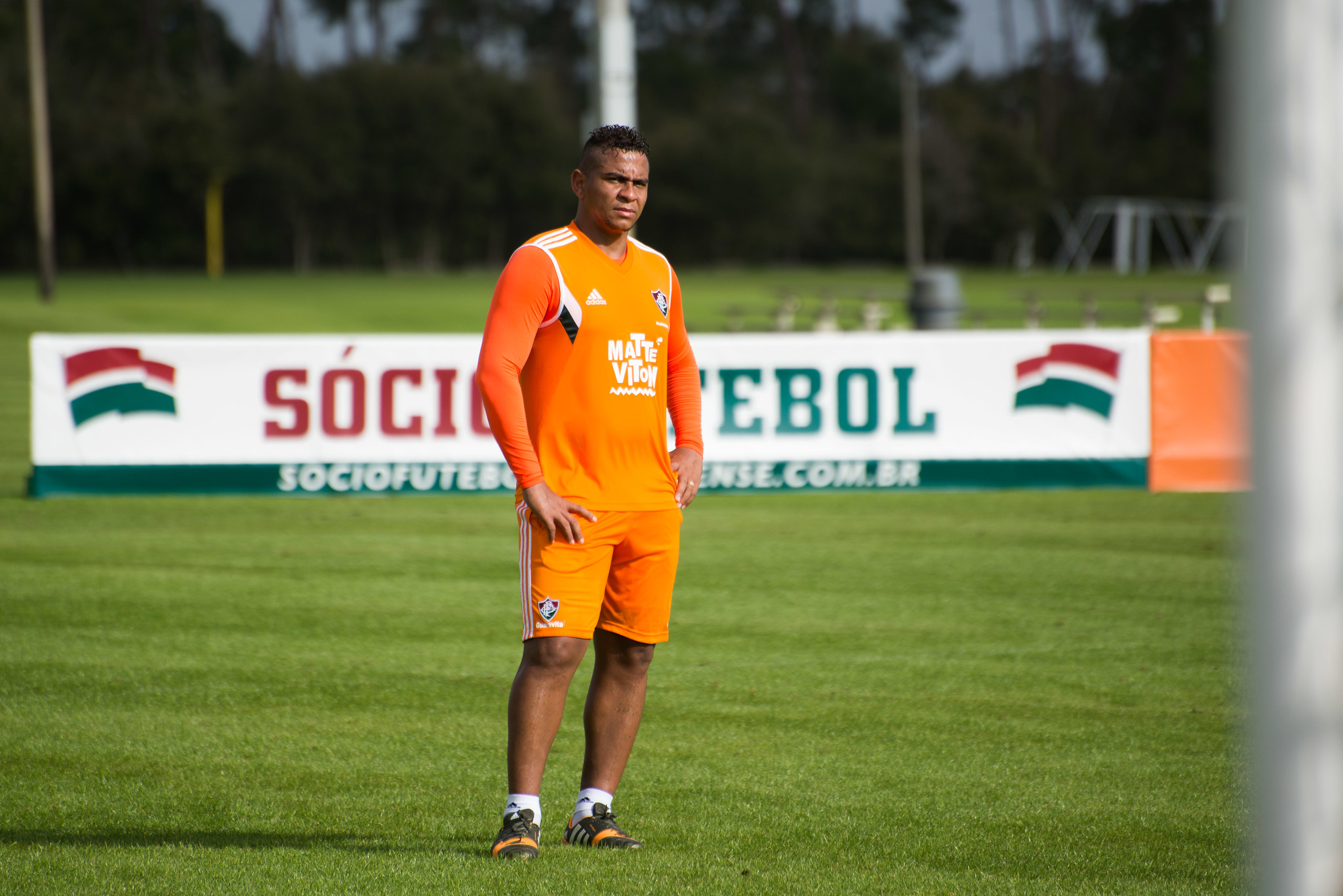 Walter Divulgação/ Fluminense