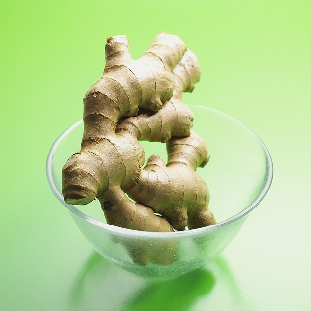 A raiz de gengibre se destaca por suas propriedades medicinais, sendo um poderoso antioxidante, anti-inflamatório, termogênico e digestivo. Seu consumo está associado à melhora de várias condições de saúde, como veremos nesta galeria. Reprodução: Flipar