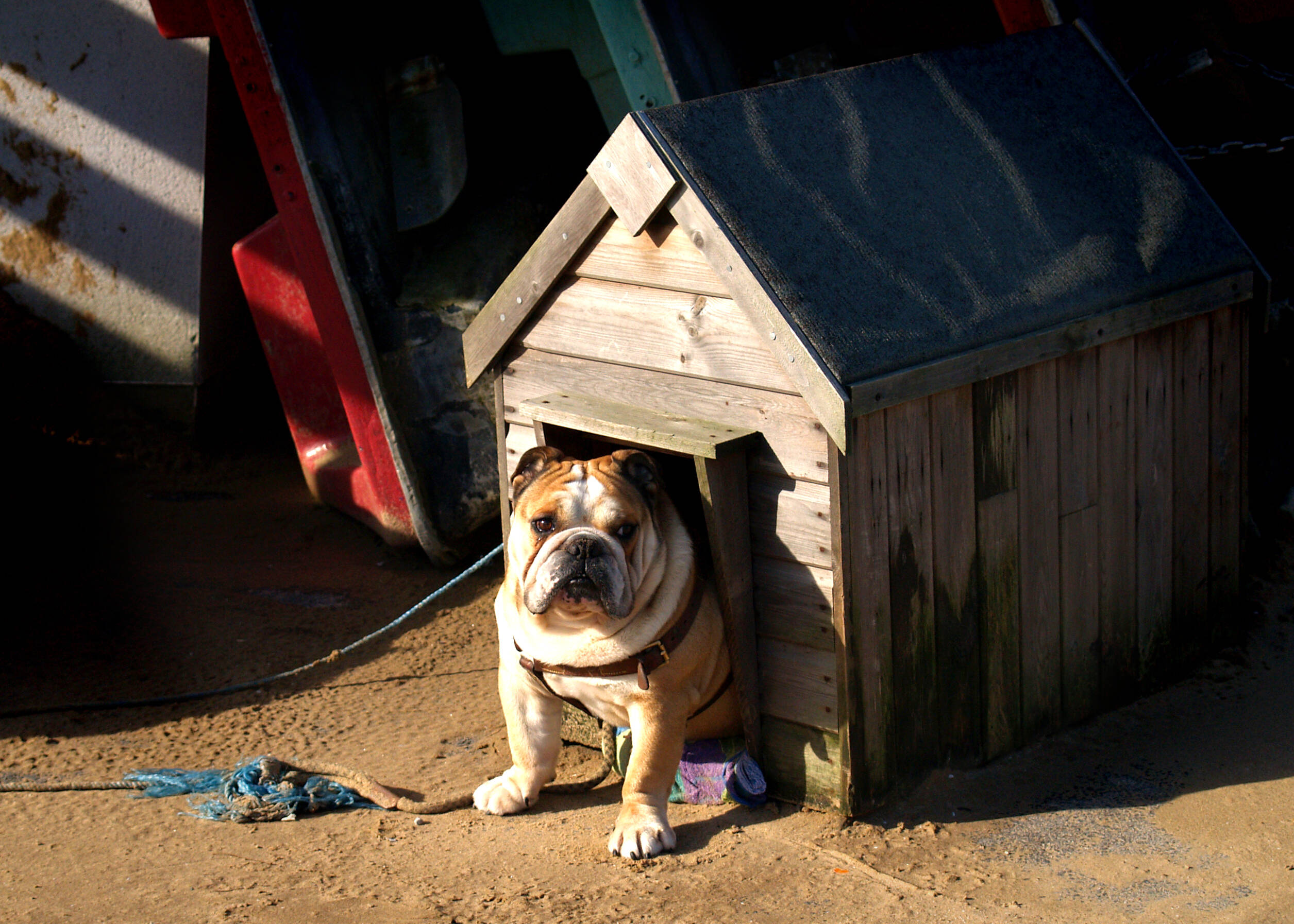 O candidato que alegou ter experiência com supervisão de obras e, na verdade, havia apenas participado da construção de uma casinha de cachorro alguns anos antes. Foto: Thinkstock