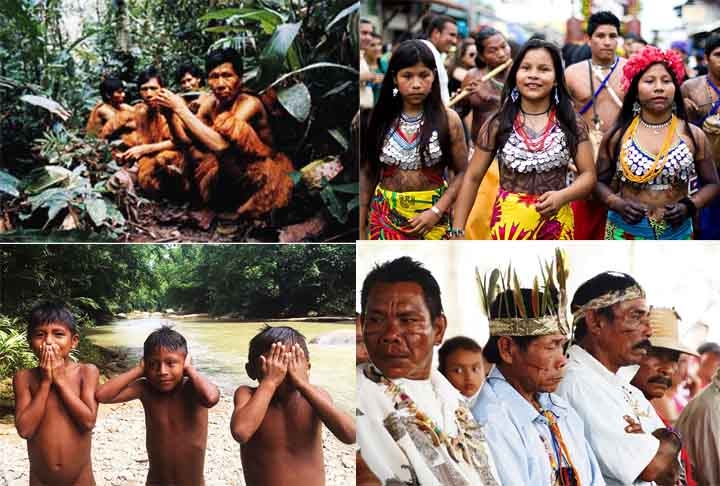 América do Sul
Colômbia: Há mais de 80 povos indígenas reconhecidos, como Wayuu, Embera, Kogi e Arhuaco. Muitos vivem na Amazônia e na Serra Nevada de Santa Marta, onde preservam suas culturas. A luta pelos direitos à terra é um tema constante, dada a exploração de recursos naturais.
 Reprodução: Flipar