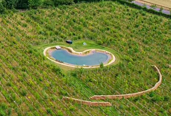 É que, em agosto, ele causou muitas queixas após publicar um vídeo nas redes sociais pulando no lago da sua propriedade em Suffolk, na Inglaterra. Inicialmente, Ed Sheeran construiu o lago — que custou 3,7 milhões de libras (cerca de R$ 26,6 milhões) — com o objetivo inicial de preservar a vida selvagem. Reprodução: Flipar