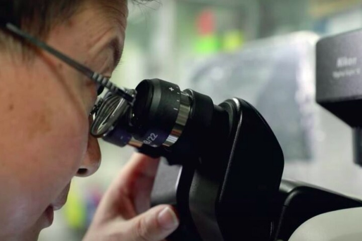 Os resultados detalhados foram publicados na revista científica Zoological Studies, evidenciando a importância do estudo conduzido por Qiu Jianwen e sua equipe. Reprodução: Flipar