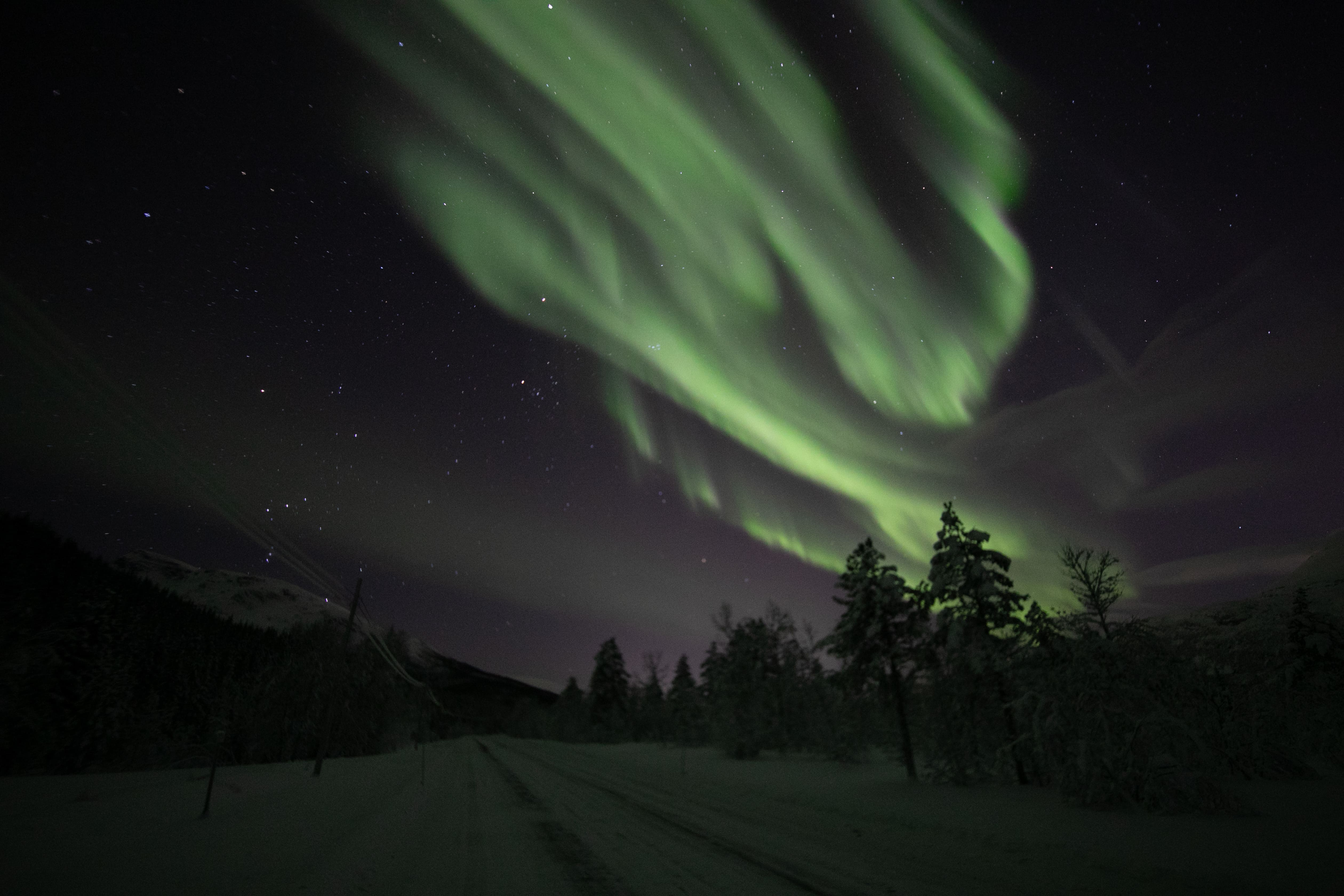Aurora boreal no céu. Foto: Marco Brotto