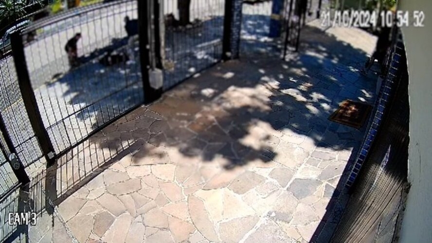 Em 21/10/2024, uma mulher de 52 anos foi atacada por um cão do vizinho em frente ao edifício onde mora, em Porto Alegre, Rio Grande do Sul. O ataque durou quase um minuto, até que um homem conseguiu enforcar o animal. O mesmo pitbull havia atacado outro cachorro três meses antes.  Reprodução: Flipar