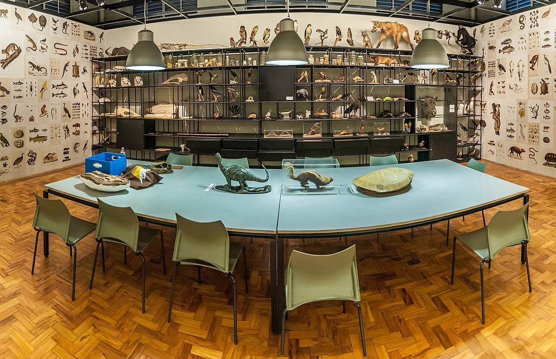 Tem mais de 10 milhões de exemplares, entre fósseis, animais empalhados e réplicas.  E oferece uma biblioteca com mais de 10 mil volumes sobre geologia e zoologia. 
