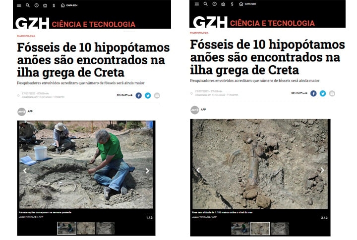 Fósseis de 10 hipopótamos anões de 350.000 anos atrás foram encontrados em 2023 em escavações na Grécia, causando euforia no meio científico. Reprodução: Flipar