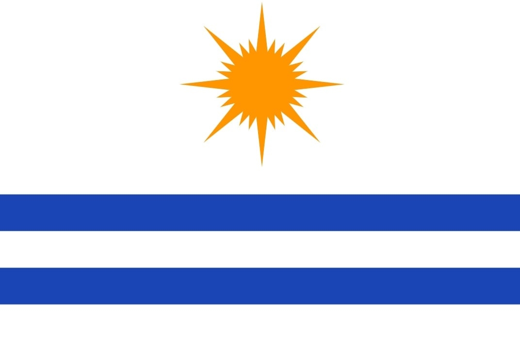 Na bandeira de Palmas, Tocantins, os elementos em branco, juntamente com o sol amarelo-ouro sobre um fundo azul, compõem a mensagem que transmite a certeza de um futuro iluminado. A faixa amarela, abaixo das faixas azuis, significa as riquezas minerais do estado. Reprodução: Flipar