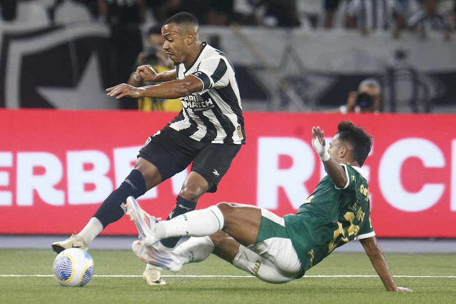 Botafogo x Palmeiras (Foto: Vítor Silva/Botafogo)