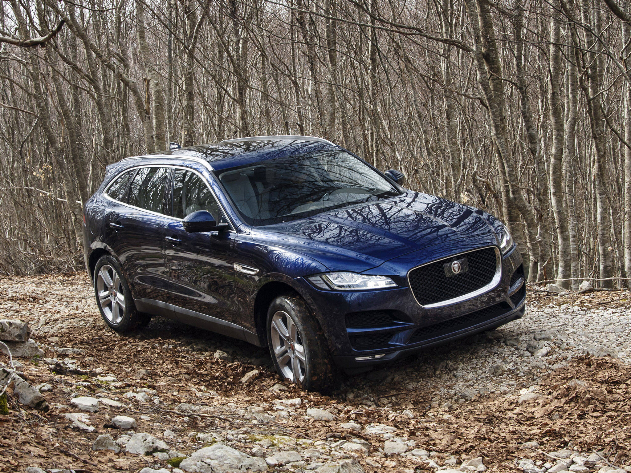 Jaguar F-Pace. Foto: Divulgação/Jaguar Land Rover