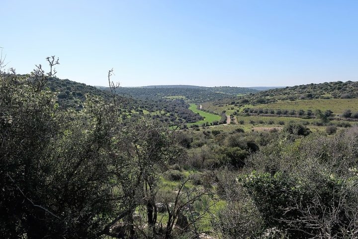 De acordo com os Evangelhos do Novo Testamento da Bíblia, Jesus nasceu em Belém, na Judeia (atual território de Israel e Palestina), durante o governo do rei Herodes. Reprodução: Flipar