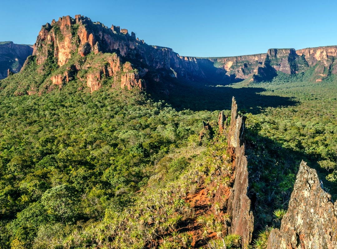 Parque Nacional da Chapada dos Guimarães, Mato Grosso: O parque abrange uma área de aproximadamente 33 mil hectares e é conhecido por suas formações geológicas impressionantes, cachoeiras, cavernas, sítios arqueológicos e rica biodiversidade. É uma região de transição entre o cerrado e a Amazônia, o que resulta em uma grande diversidade de paisagens e ecossistemas.  Reprodução: Flipar