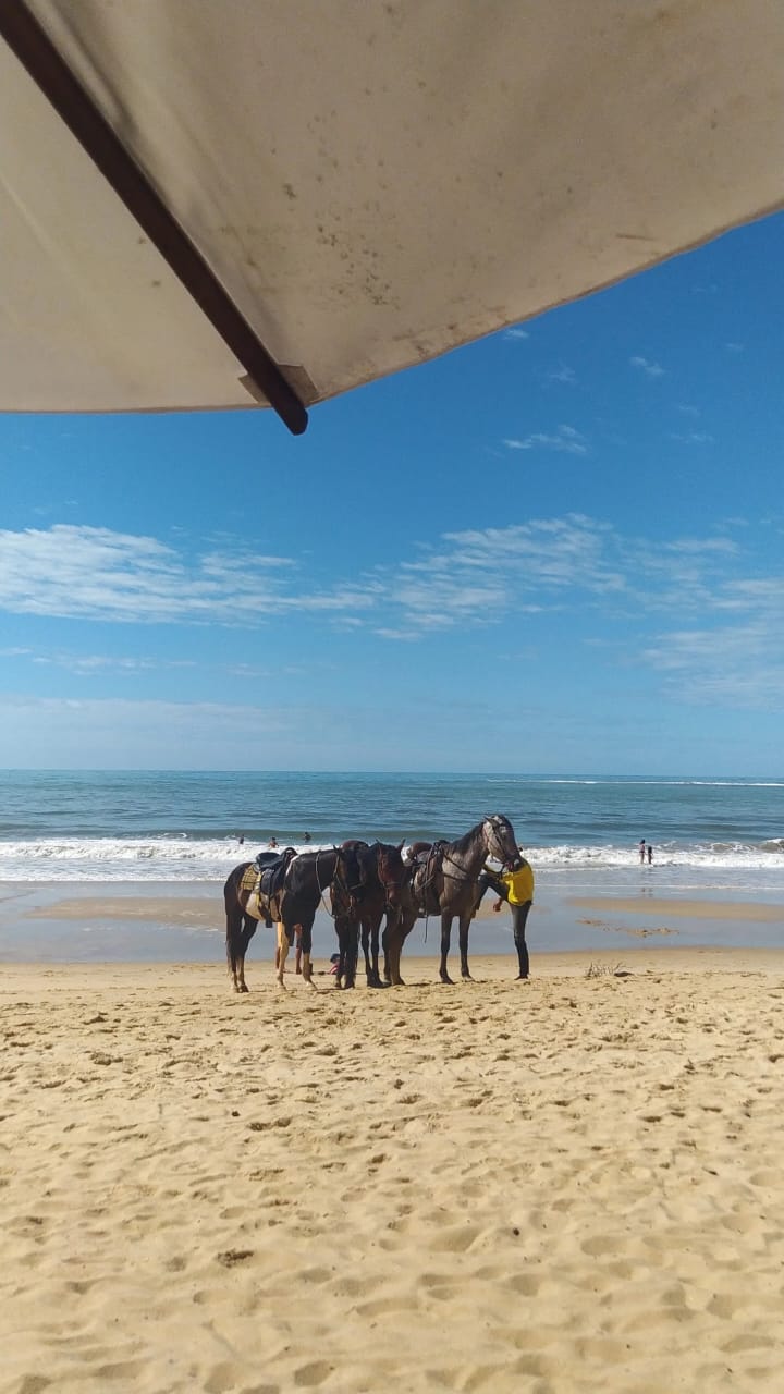 Cavalos na Praia dos Nativos, em Trancoso (BA). Foto: Rafael Nascimento
