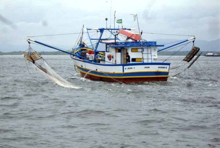 O caso das vaquitas é só mais um que mostra como é vital cuidar da vida nos oceanos e como é essencial a cooperação entre países para evitar que espécies ameaçadas desapareçam.  Reprodução: Flipar