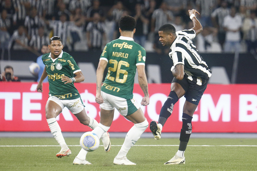 Botafogo x Palmeiras (Foto: Vítor Silva/Botafogo)