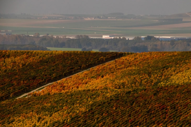 A região de Champagne é famosa por seu clima fresco e solo calcário, que contribuem para as características singulares desses vinhos. Reprodução: Flipar
