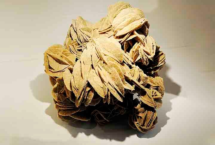 Rosa do deserto: Esse é um fenômeno geológico fascinante que se refere a formações minerais em forma de rosetas que ocorrem em desertos. Reprodução: Flipar