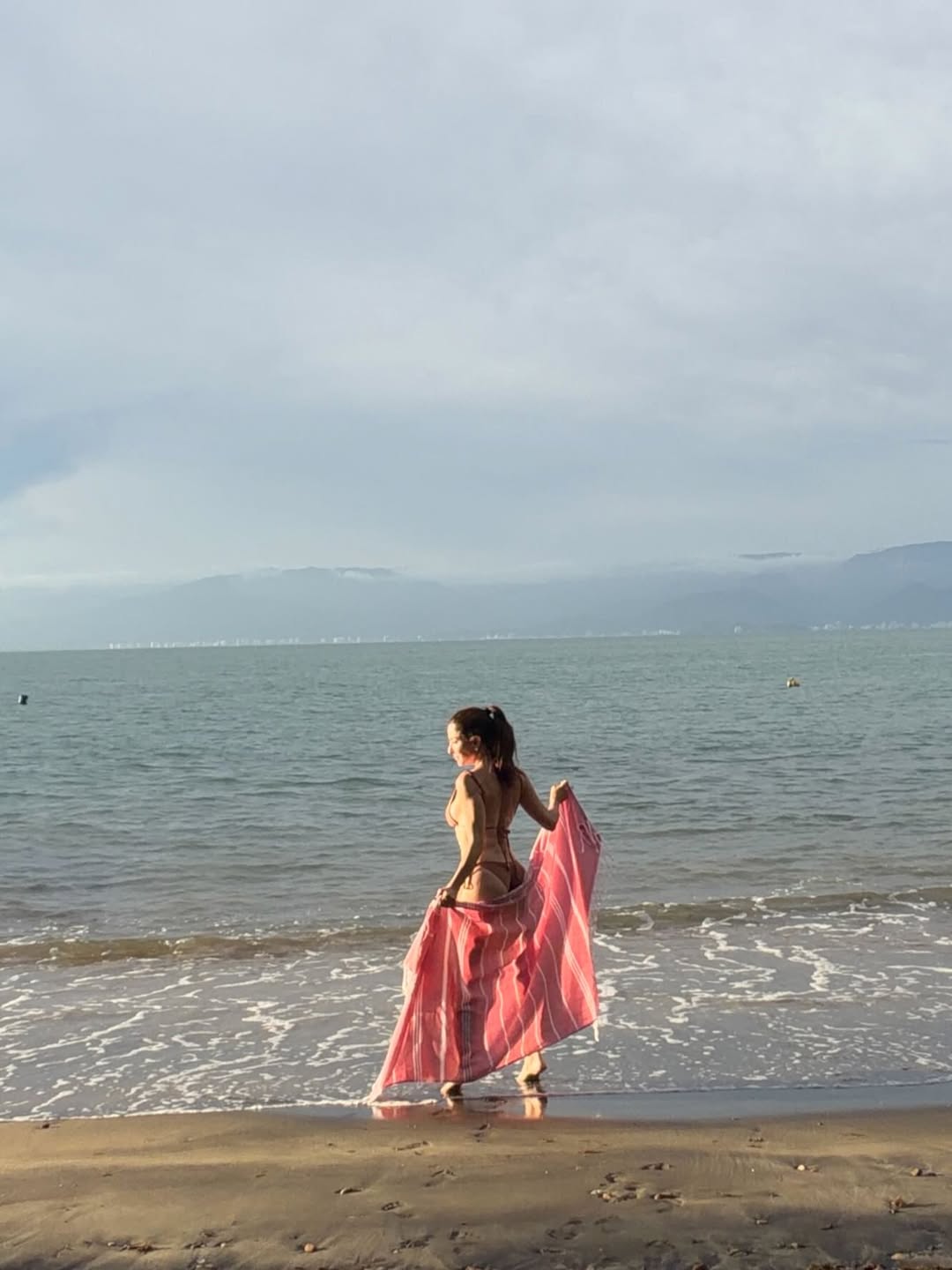 Ana Paula Padrão renova bronzeado. Foto: Reprodução/ Instagram @anapaulapadraooficial