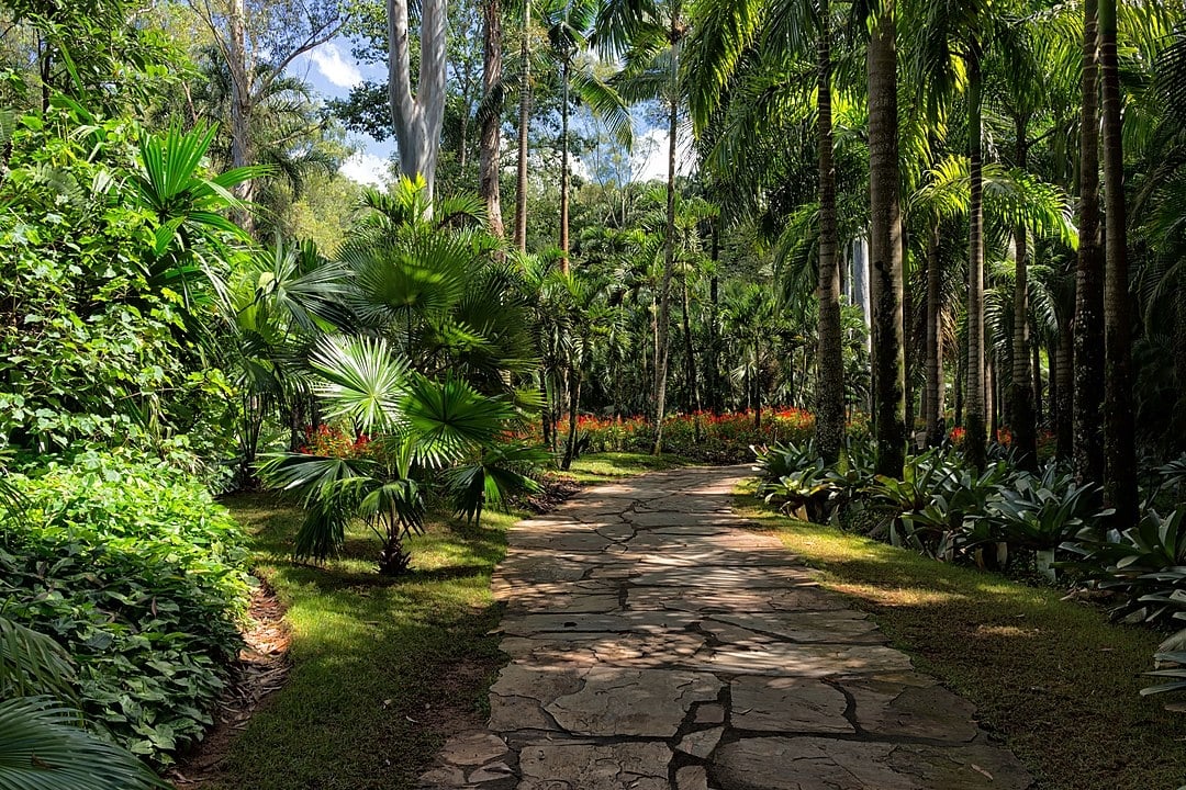 O local tem 4,3 mil espécies nativas e estrangeiras, de diversas partes do mundo, uma das maiores coleções do país. Assim como pesquisa e fiscalização do patrimônio da entidade. Ao todo, são mais de 140 hectares disponíveis para visitação.  Reprodução: Flipar