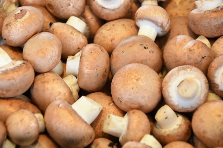 O problema está em quando se pretende comercializar o cogumelo com base nas suas propriedades. Reprodução: Flipar