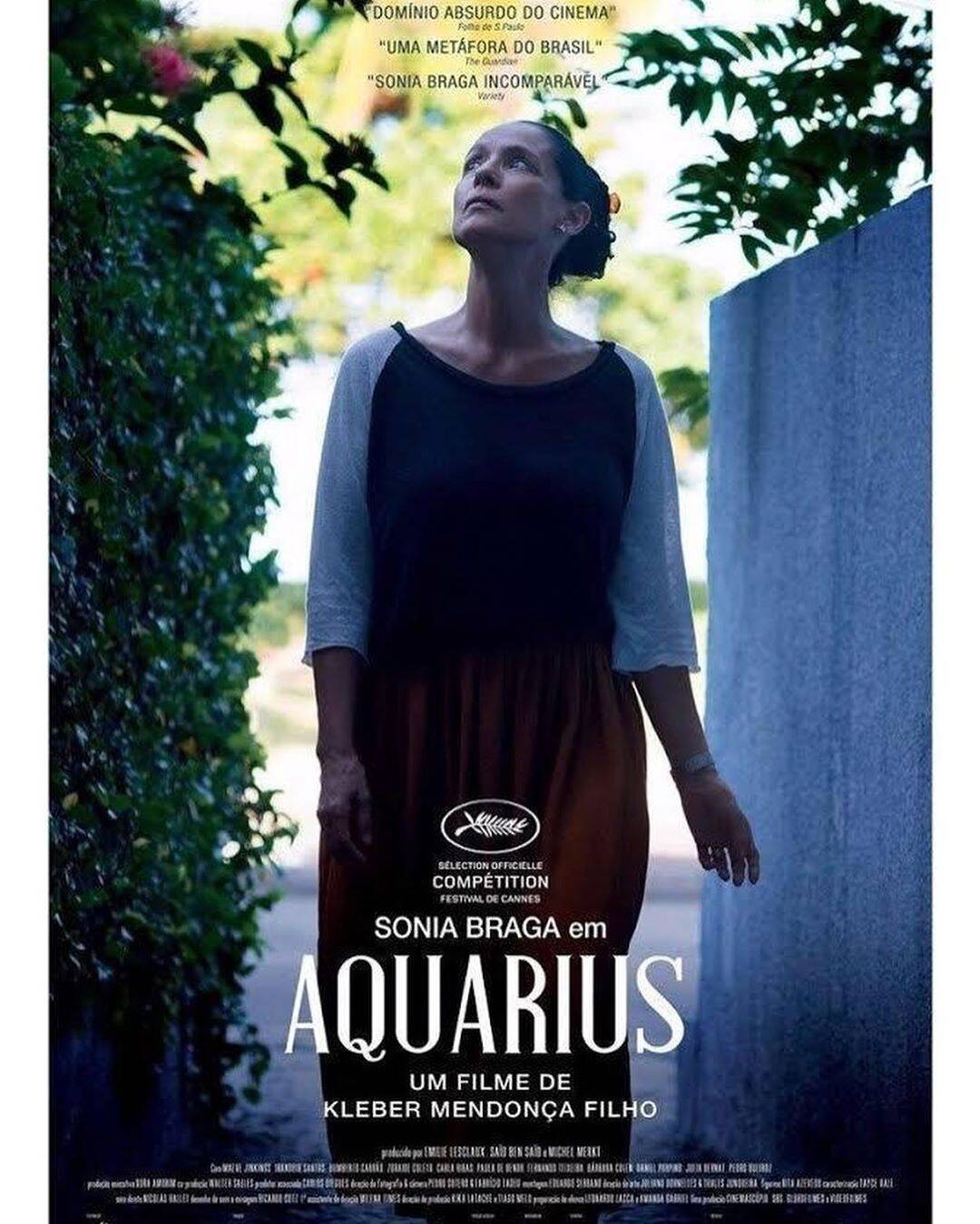 Cartazes de filmes nacionais. Foto: Reprodução