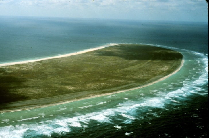 As fotos foram tiradas aproximadamente a 161 km da Ilha Howland, um atol sem habitantes que fica logo a norte do equador no Oceano Pacífico.  Reprodução: Flipar