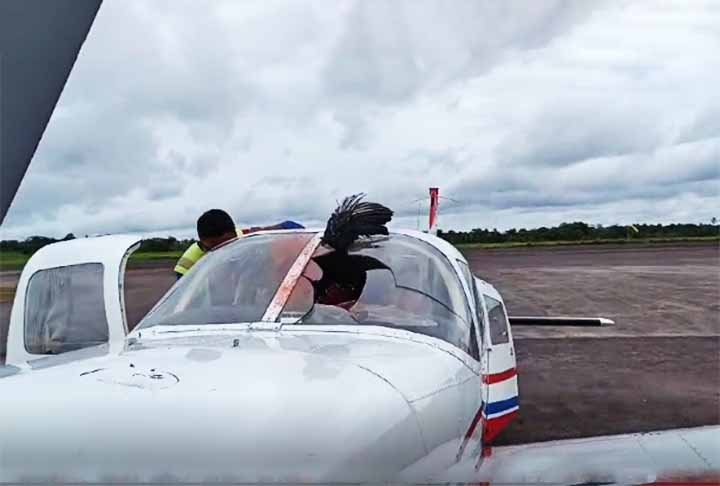 O Instituto de Proteção Ambiental do Amazonas (Ipaam) e o Ministério Público estadual já foram informados das condições irregulares do local.  Reprodução: Flipar