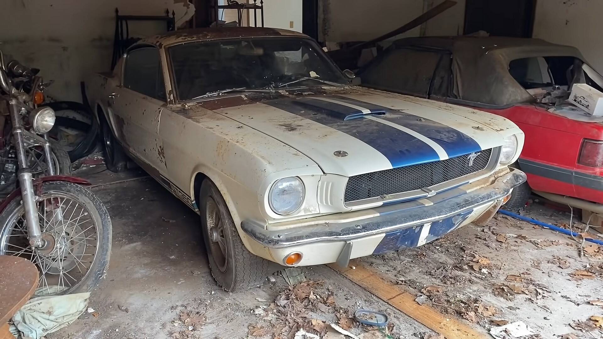 Mustang Shelby GT350 1965 . Foto: Reprodução