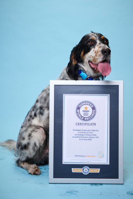 Bisbee e seu registro de recordista do Guinness. Foto: Reprodução/Guinness World Records