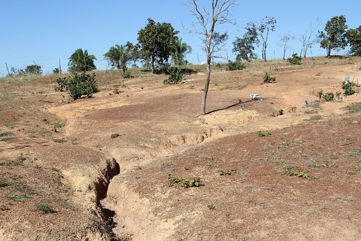 O impacto causou uma destruição significativa na região, afetando espécies de répteis e anfíbios da época. Reprodução: Flipar