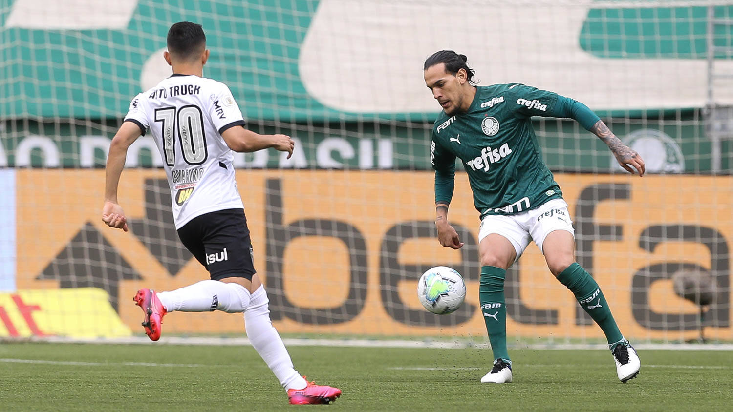 Palmeiras. Foto: Cesar Greco