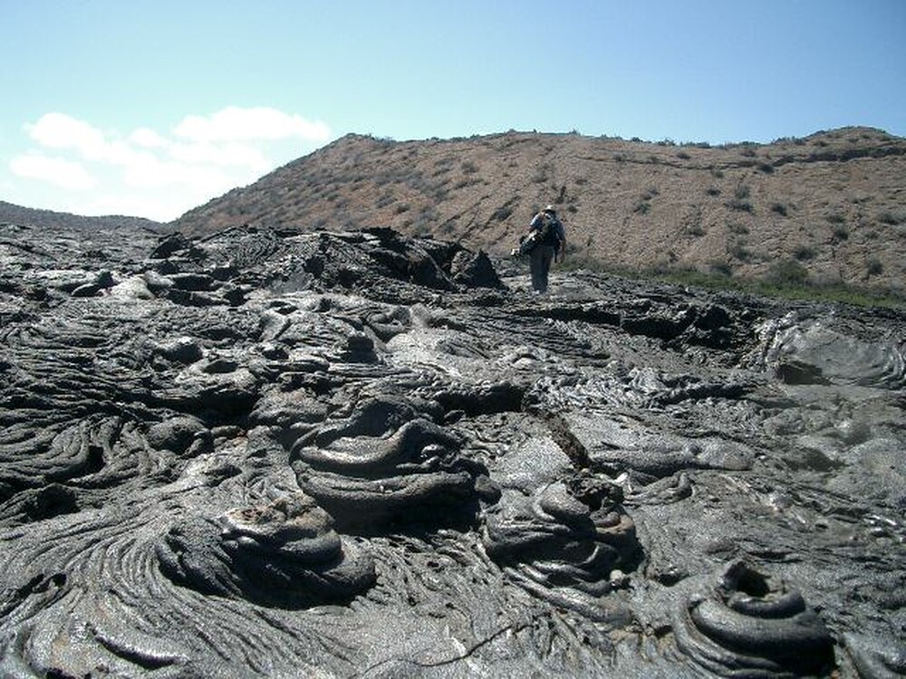 Los Túneles em Ilha do Arquipélago de Galápagos. Foto: Reprodução / Redes Sociais