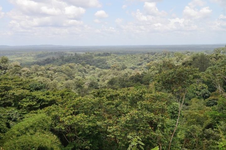 Composta principalmente por floresta tropical, a Guiana Francesa tem Caiena como capital e maior cidade. Outras lugares de destaque são Saint-Laurent-du-Maroni e Kourou. Reprodução: Flipar
