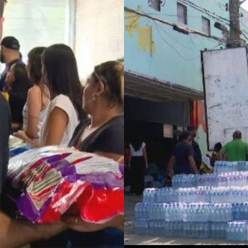 Várias imagens mostram voluntários recebendo e organizando os suprimentos de comida e água para os animais. Reprodução: Flipar