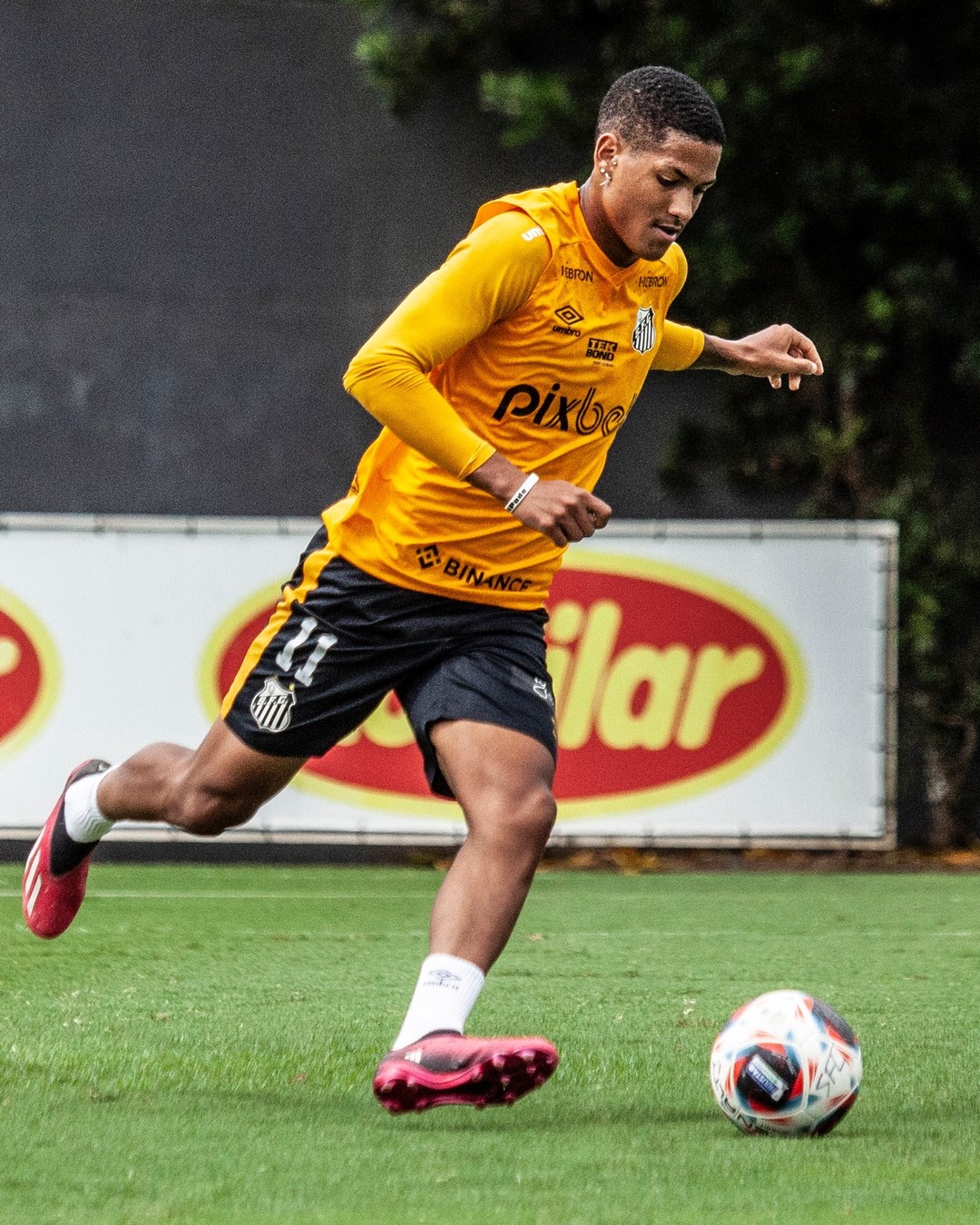 Foto: Bruno Santoni/Santos FC