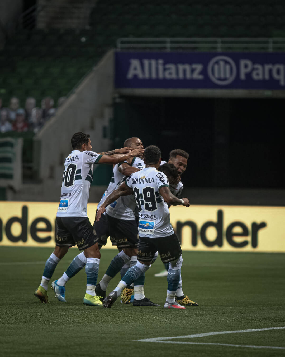 Palmeiras x Coritiba. Foto: Reprodução/Instagram