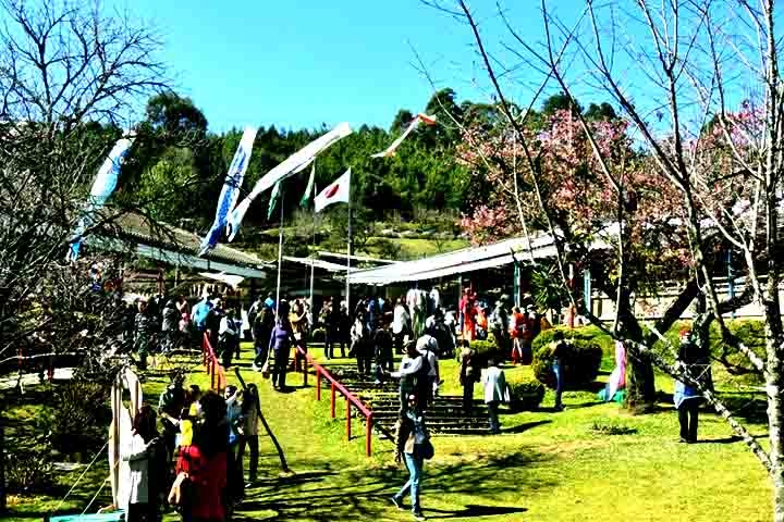 A festa acontece em 26 e 27 de julho e em 2, 3, 9, 10, 16 e 17 de agosto, sempre das 9h às 16h, no Parque da Cerejeira. Inspirada na tradicional celebração japonesa do Hanami - o costume de contemplar a florada das cerejeiras -, o evento mistura cultura japonesa com o charme da Serra da Mantiqueira. Reprodução: Flipar