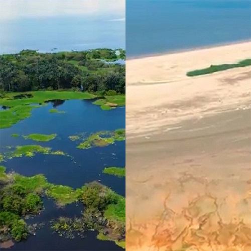 Segundo eles, o fato de o El Niño estar acontecendo de forma mais intensa dificulta a formação de chuvas na Amazônia.