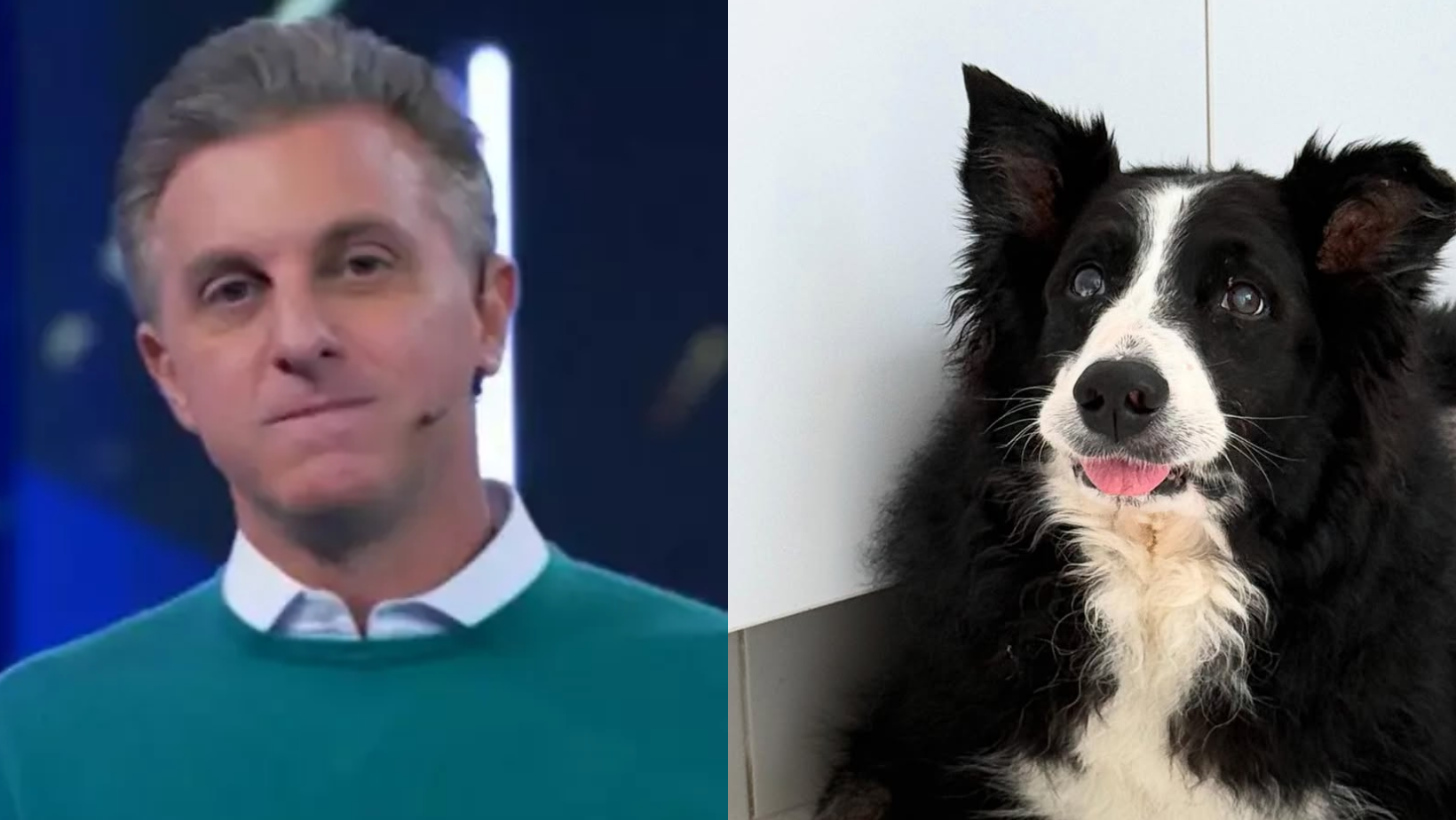 Luciano Huck lamenta morte de Ziggy. Foto: Reprodução Instagram - 27.2.2025