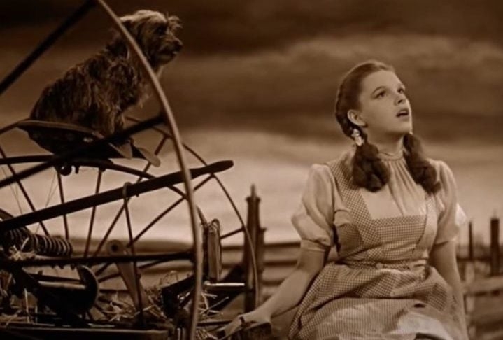 Apesar de todas as dificuldades, o filme foi aos poucos se tornando um dos maiores clássicos da história do cinema e de quebra ainda eternizou uma das canções mais famosas de todos os tempos, “Over the Rainbow”. Reprodução: Flipar
