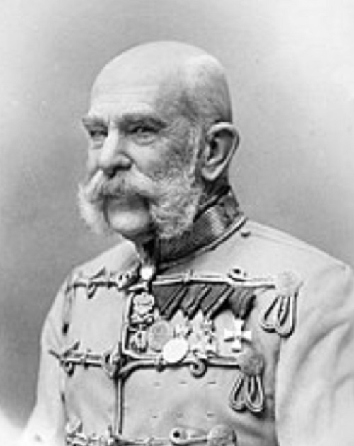 Rei Francisco José (67 anos)- Ele foi imperador da Áustria e rei da Hungria de 1848 a 1916, marcando um dos reinados mais longos da Europa.  Enfrentou desafios como a questão nacionalista, resultando na Dual Monarchy em 1867. Reprodução: Flipar