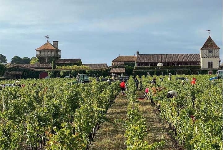 O ponto forte do Château é a produção de blends tintos e brancos usando as sete variedades de uva Bordeaux. O espaço foi criado no século XIV, mas a partir da década foi que deslanchou após ser comprado pelo ex-esquiador olímpico francês Daniel Cathiard, que adotou a agricultura biodinâmica Reprodução: Flipar