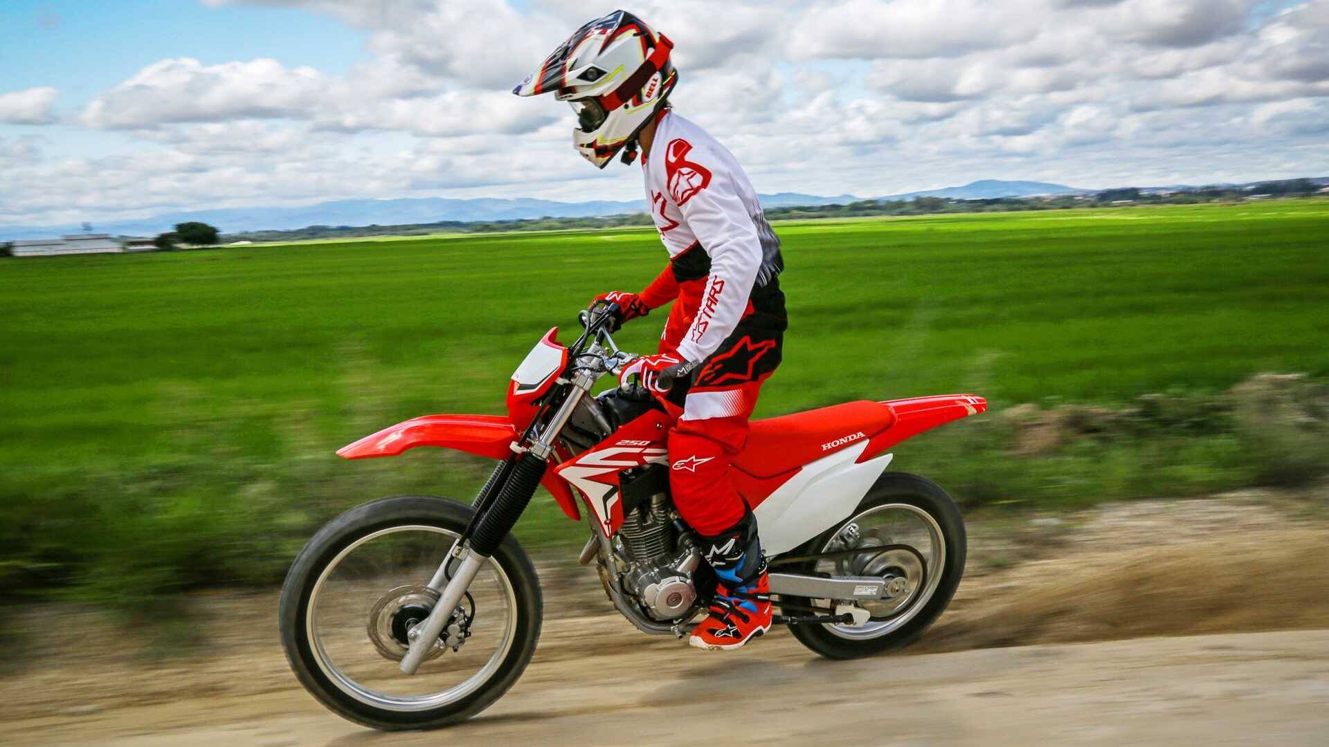 Honda CRF 250F 2019-2023 Body Outline Template / Vector Graphic