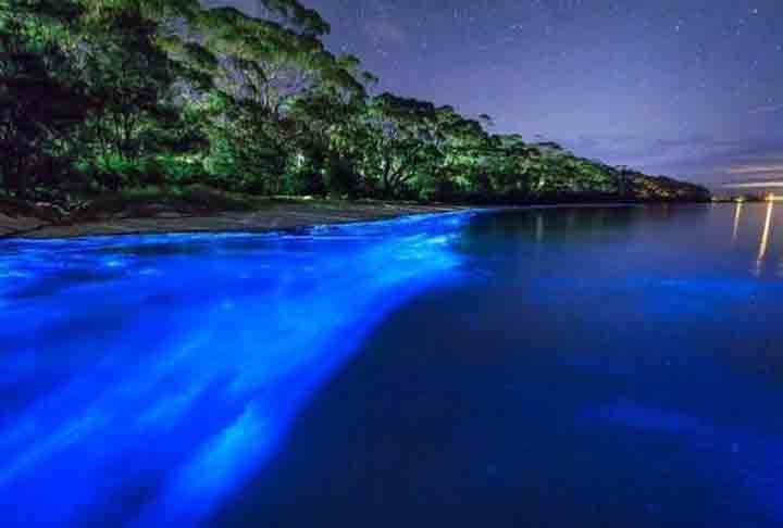 Laguna Grande, Fajardo - Na costa de Porto Rico, é mais um destino do protetorado americano que registra o fenômeno natural. Reprodução: Flipar